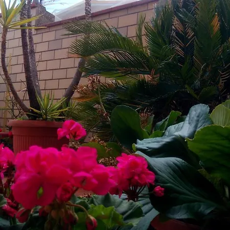 卡萨比路度假屋